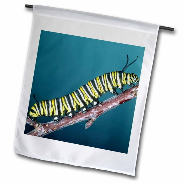 VIBRANT COLORS GARDEN FLAG "MONARCH " 12.5 in X 18 in VIBRANT COLORS GARDEN FLAG "MONARCH " 12.5 in X 18 in